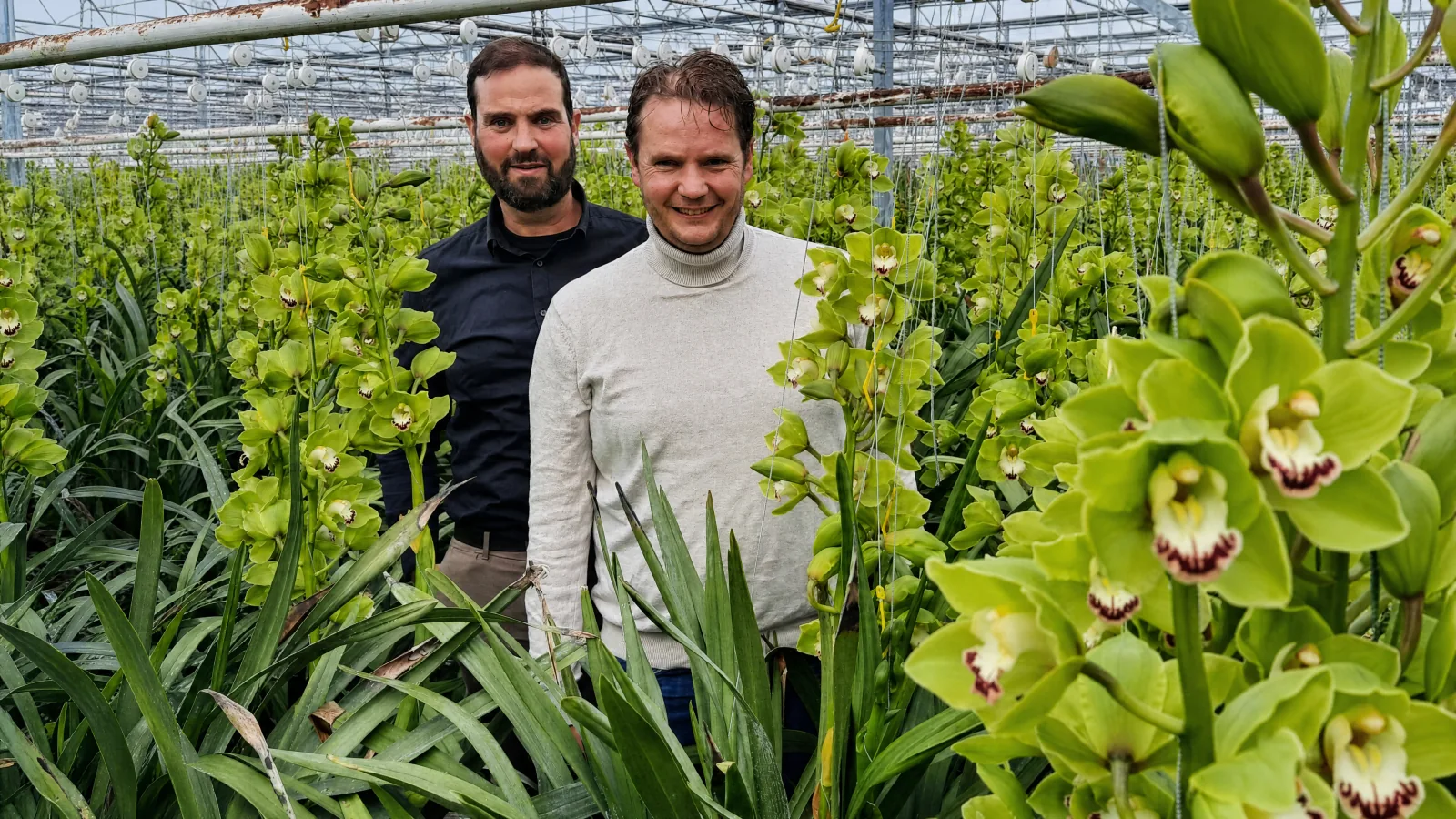 Telen met natuurlijke vijanden