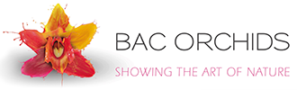 Bac Orchids logo