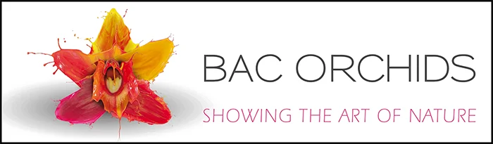 Bac Orchids logo