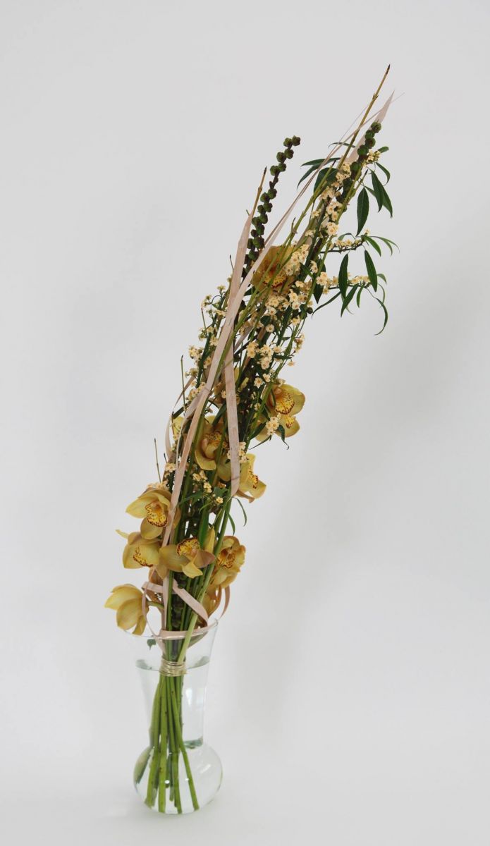 Cymbidium in Vaas